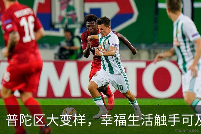 普陀区大变样，幸福生活触手可及！