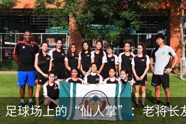 足球场上的“仙人掌”：老将长友佑都的膝盖小插曲