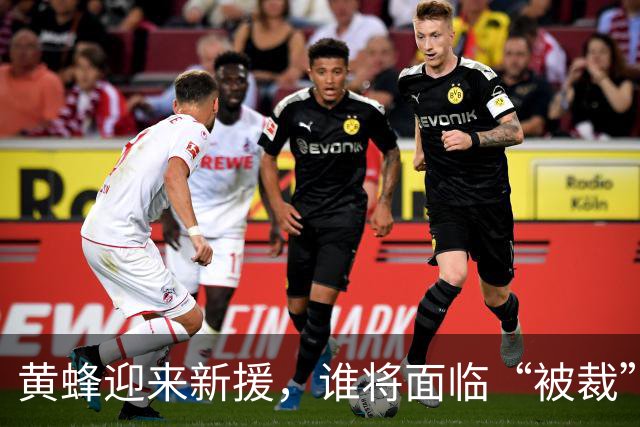 黄蜂迎来新援，谁将面临“被裁”的命运？
